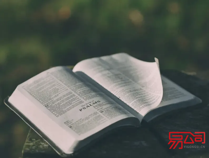 法人授权委托书（委托书内容怎么写？）