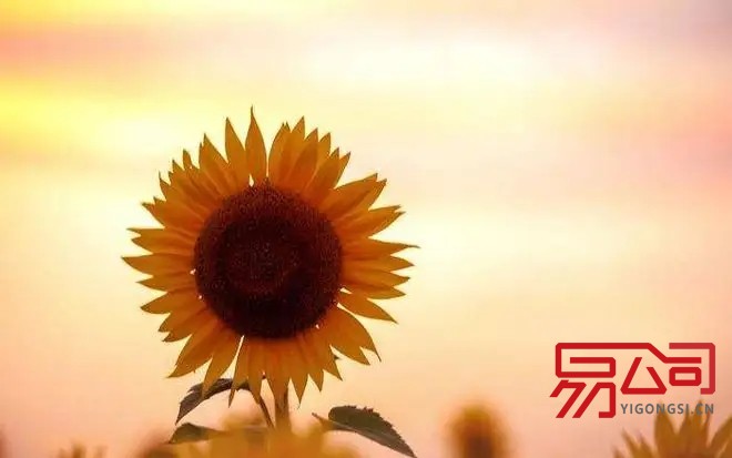 法人代表证明书(法人代表证明书如何写?) 法人代表证明书(法人代表证明书如何写?)